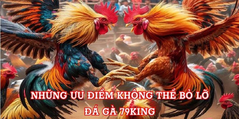 Đá Gà 79King mang đến cho người chơi cảm giác chân thực như ở trường gà