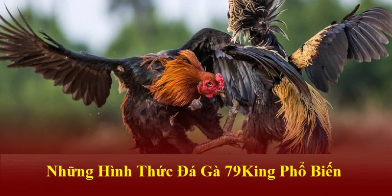 79King cung cấp đa dạng các hình thức đá gà phổ biến nhất hiện nay